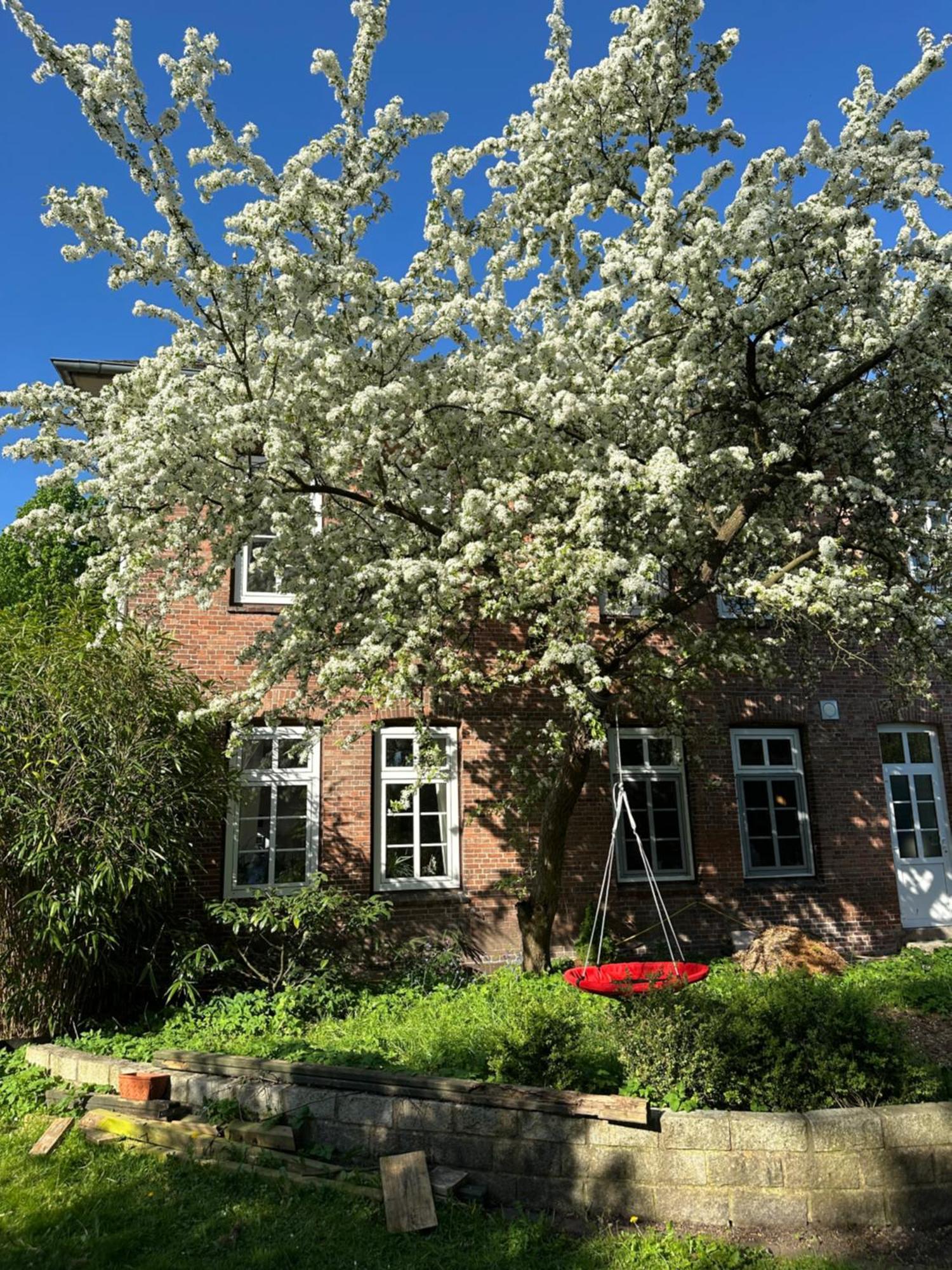 Altes Pastorat Bed & Breakfast Barmstedt Dış mekan fotoğraf
