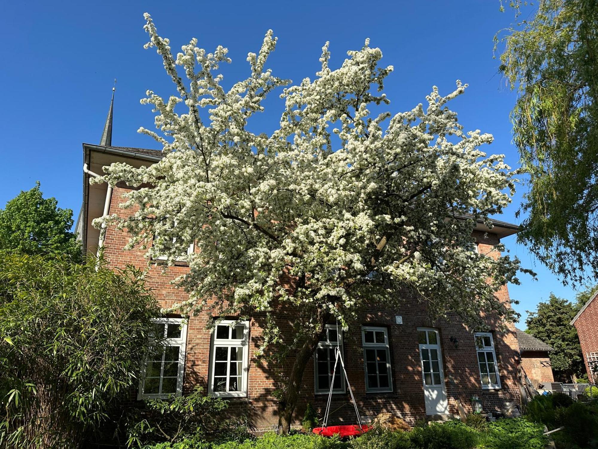 Altes Pastorat Bed & Breakfast Barmstedt Dış mekan fotoğraf